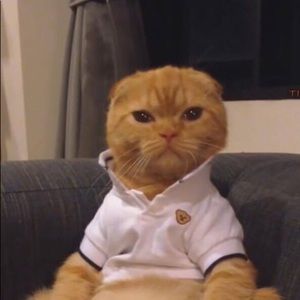 Meet your Posher, Taryn